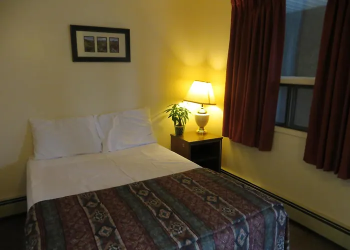 Siesta Motel